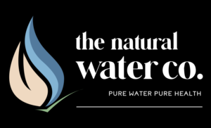 Logo Design by Vicky Graphics