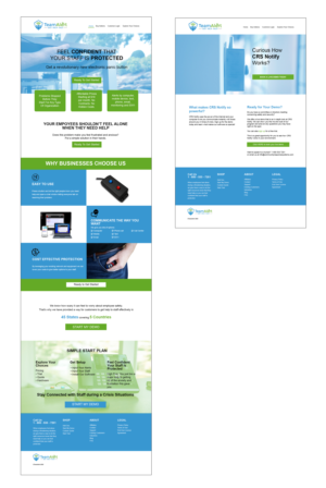 New Website for ReBranded Company - TeamAlert | Diseño Web por wanagaran