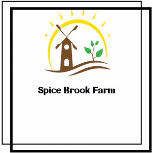 Logo Design by Baisakhighosh