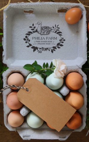 Label Design by Dylan H for this project | Design: #25200911