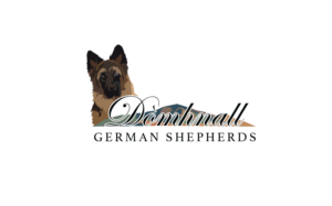 Logo Design by MT