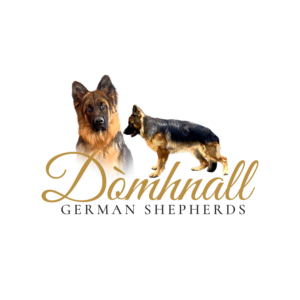 Logo Design by Ana White for this project | Design: #25197076