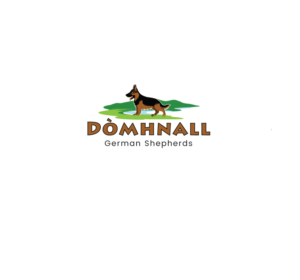 Logo Design by instudio for this project | Design: #25192232