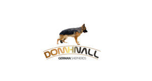 Logo Design by LeavingImpression for this project | Design #25190495