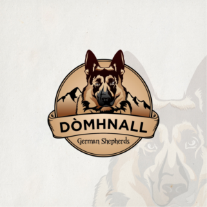 Logo Design by ZeneFashions