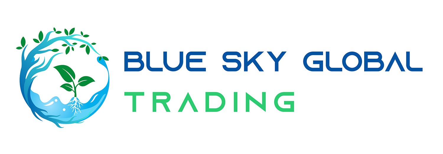 Web Design by Creative Slices for Blue Sky Global Trading Pty Ltd | Design #25259966