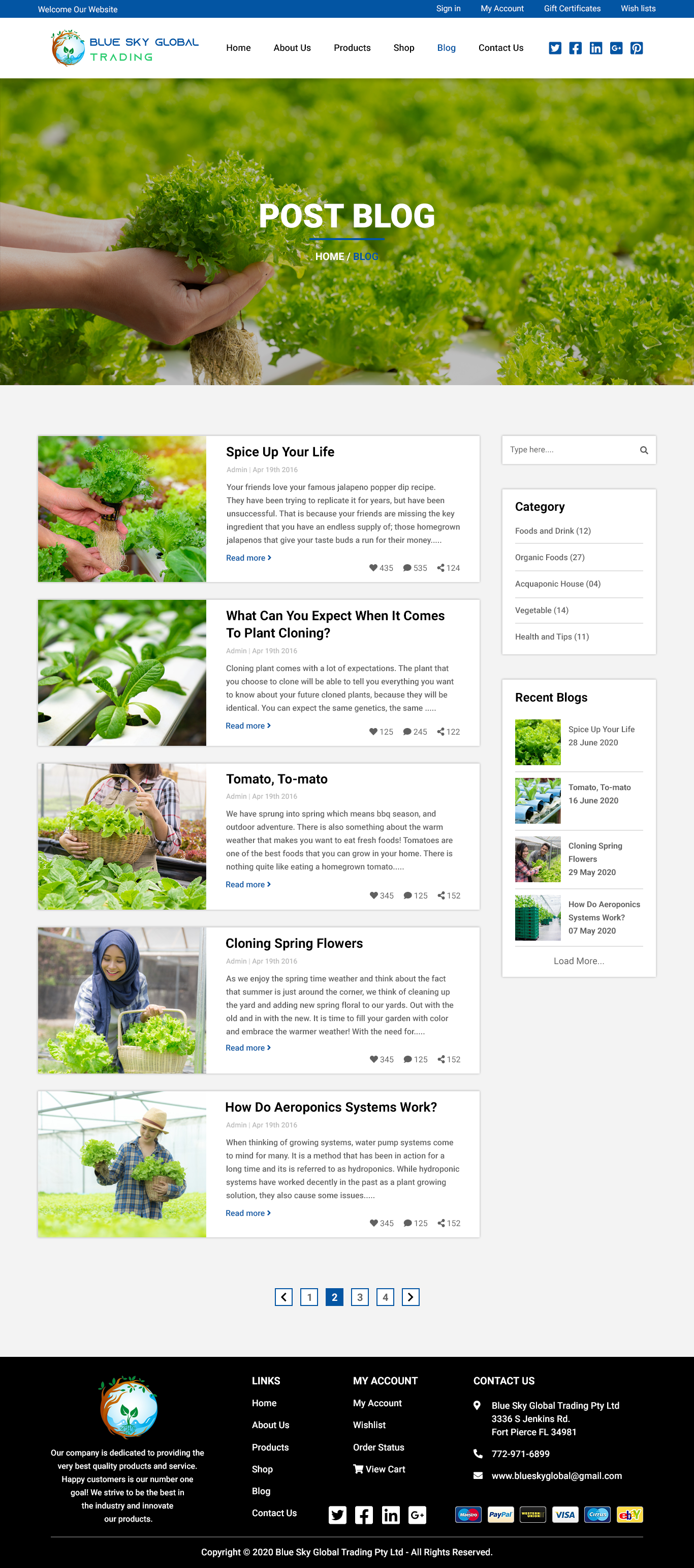 Web Design by Creative Slices for Blue Sky Global Trading Pty Ltd | Design #25270382
