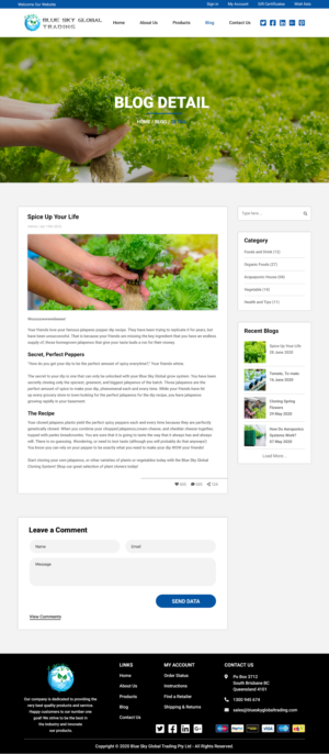 Web Design by Creative Slices for Blue Sky Global Trading Pty Ltd | Design: #25284356