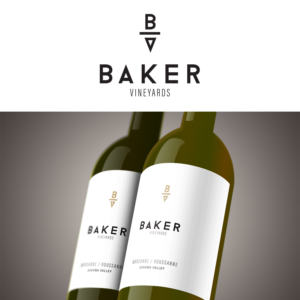 Logo Design by rls for this project | Design #25183491