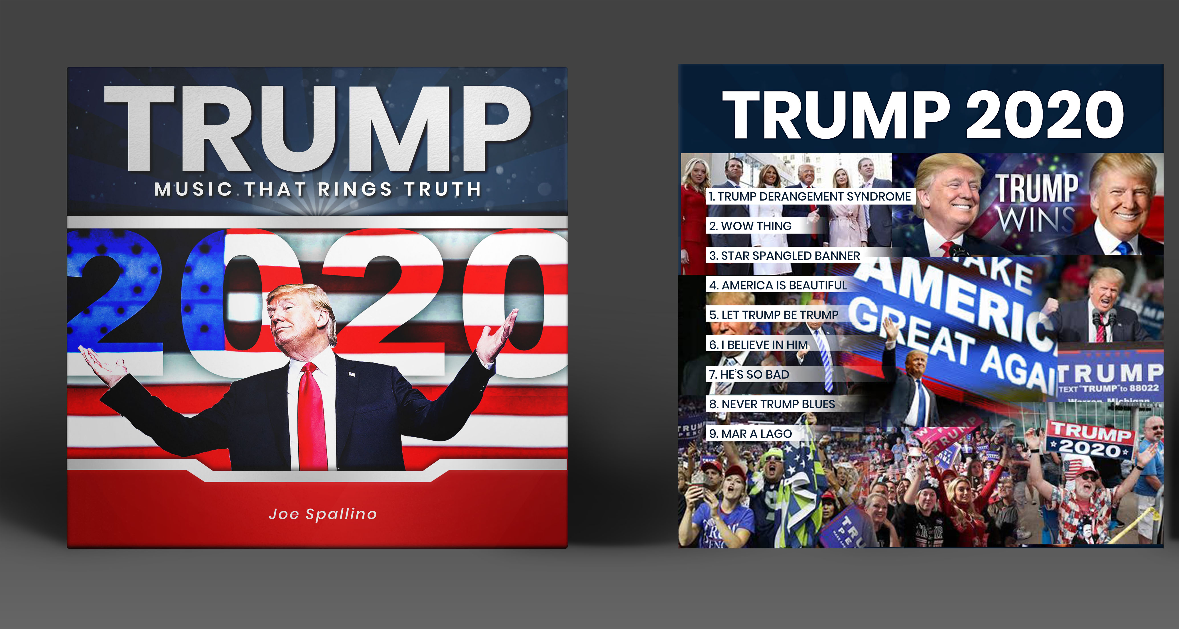 Diseño de Portada de CD por SAI DESIGNS para este proyecto | Diseño #25200003