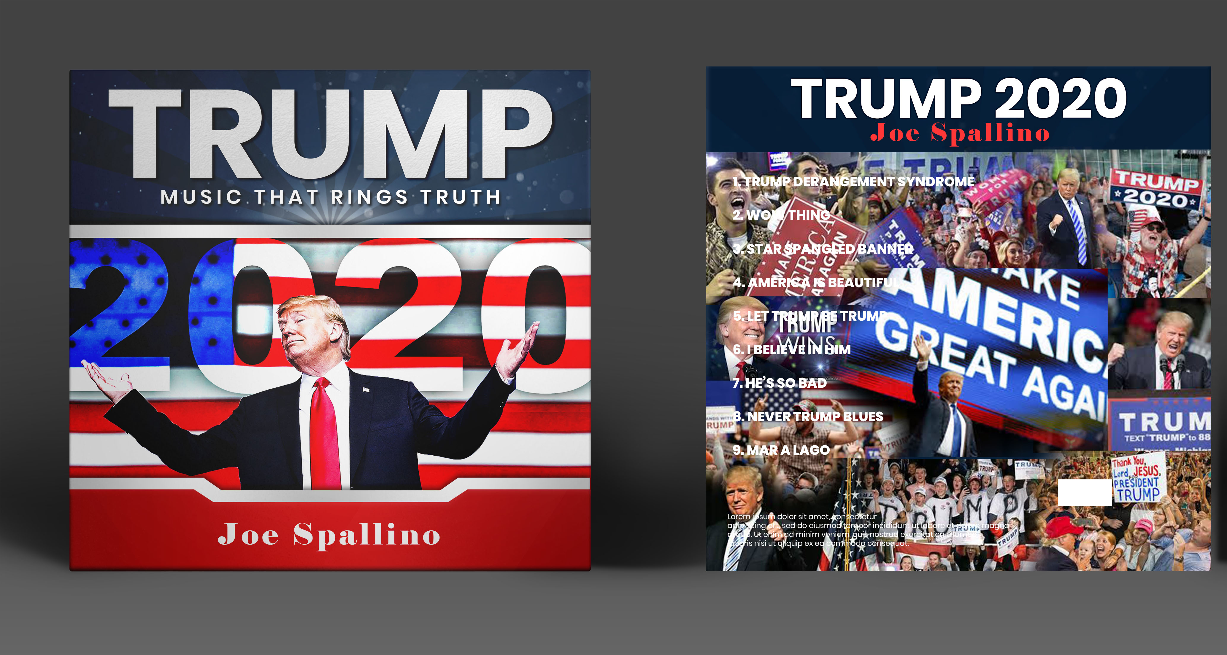 Diseño de Portada de CD por SAI DESIGNS para este proyecto | Diseño #25207429