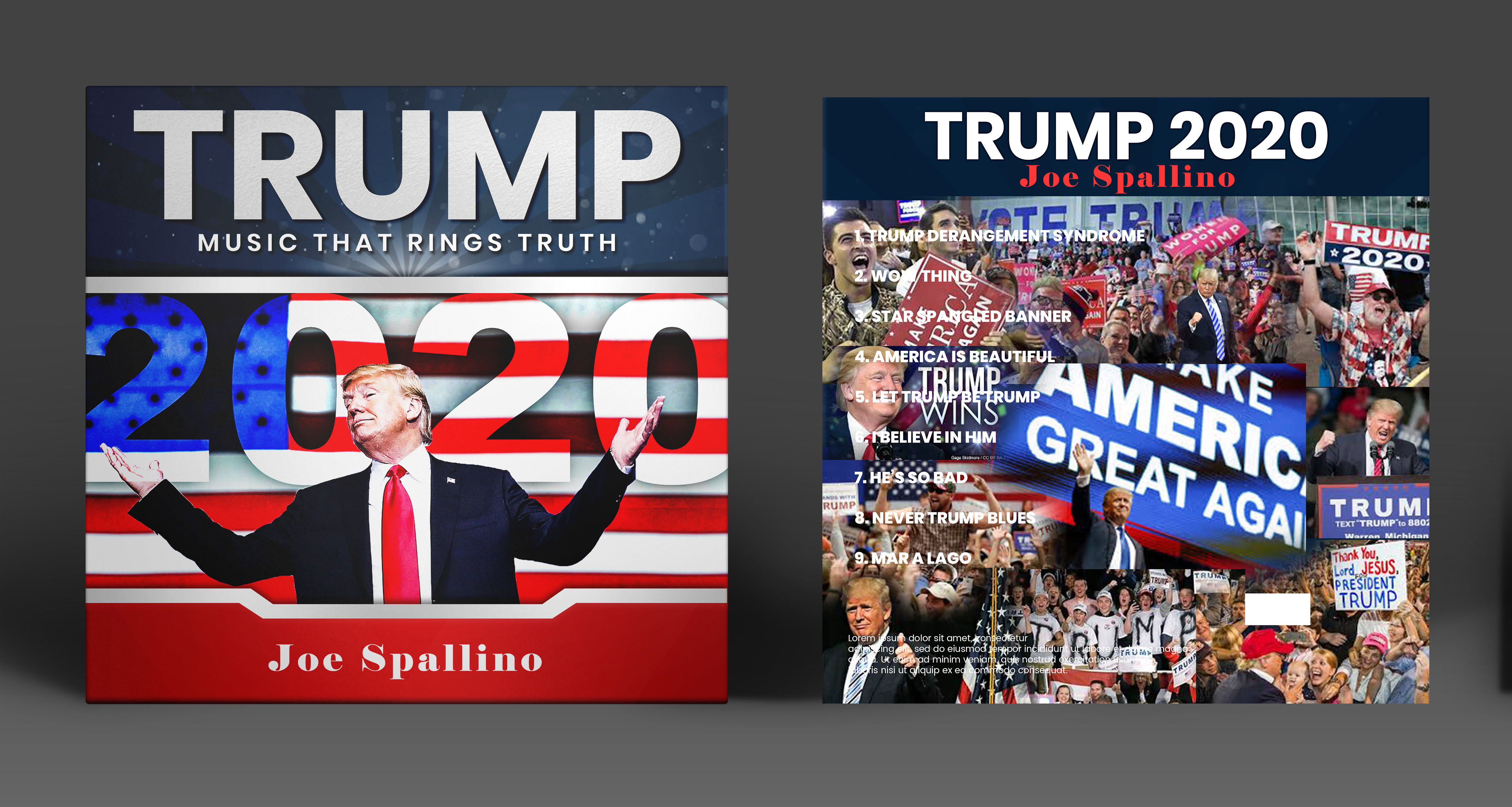 Diseño de Portada de CD por SAI DESIGNS para este proyecto | Diseño #25207743