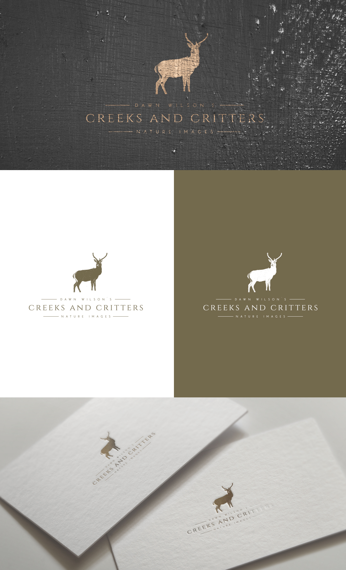 Logo Design by GLDesigns for Dawn Wilson Photography | Design #25189882