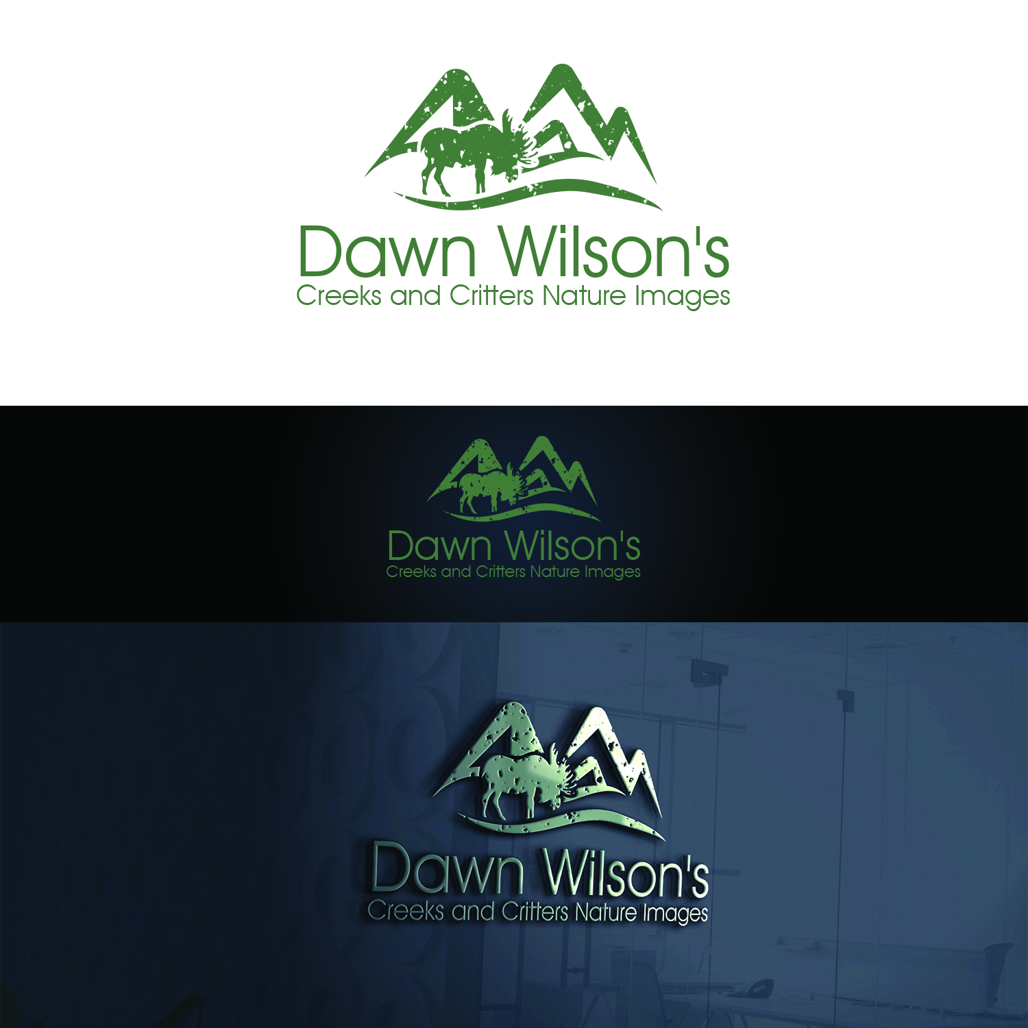 Logo Design by Maxo-Biz for Dawn Wilson Photography | Design #25216725
