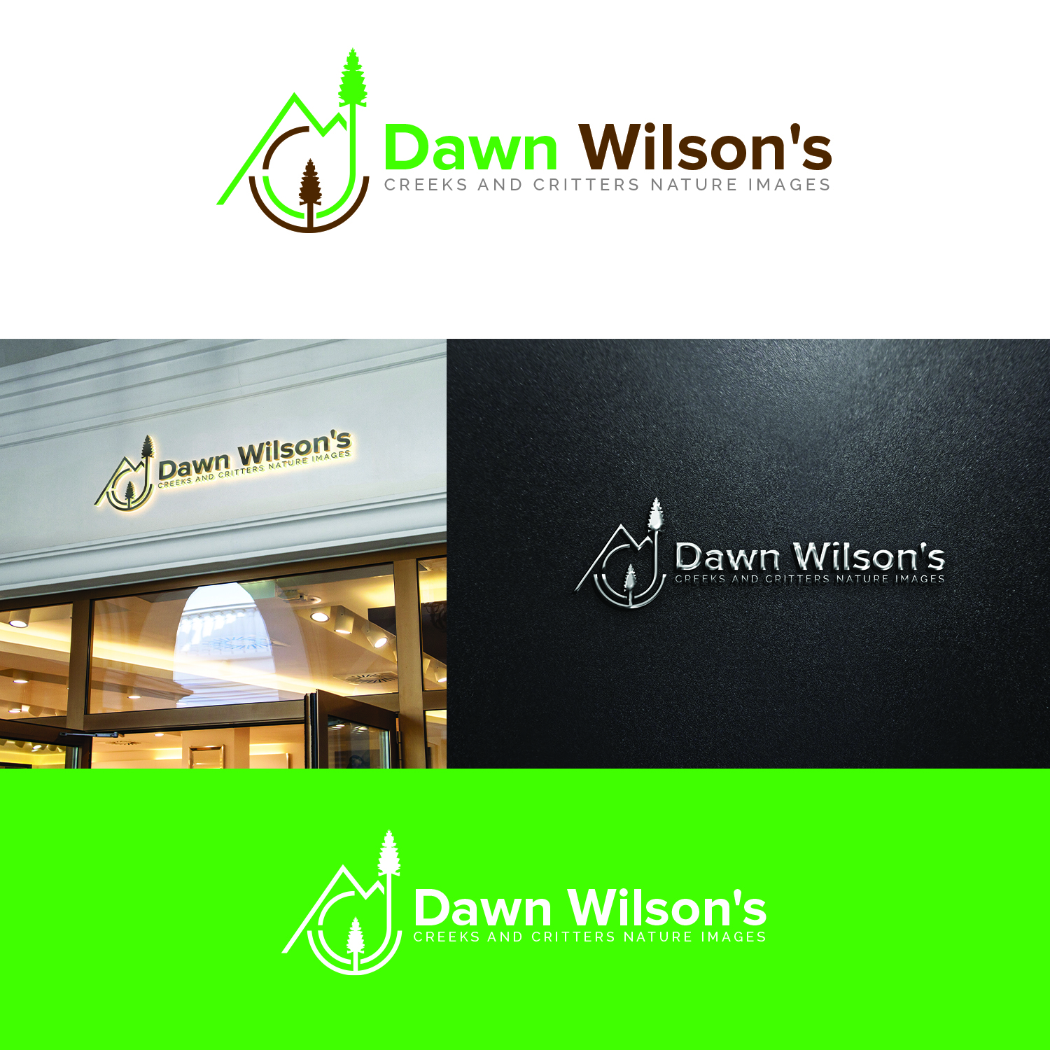 Logo Design by Maxo-Biz for Dawn Wilson Photography | Design #25216727