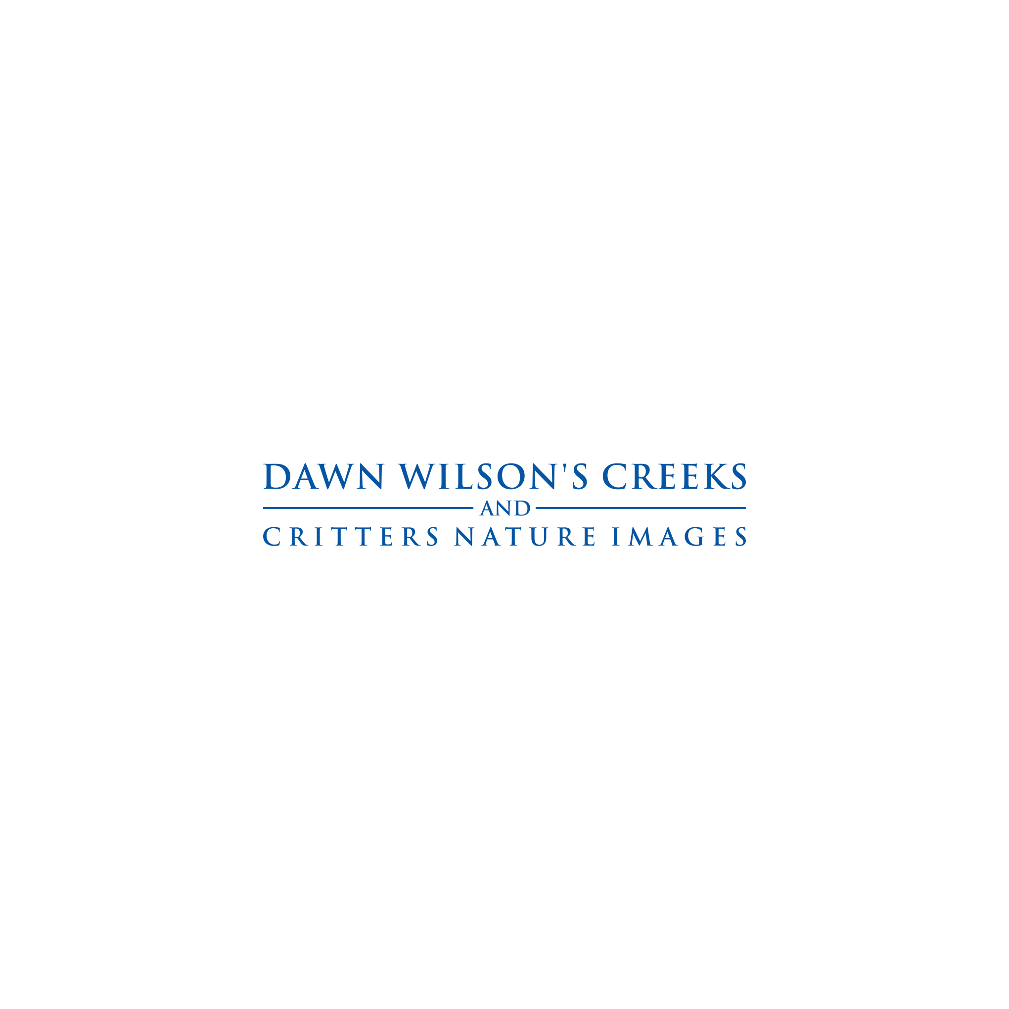 Logo-Design von AZart für Dawn Wilson Photography | Design #25190693