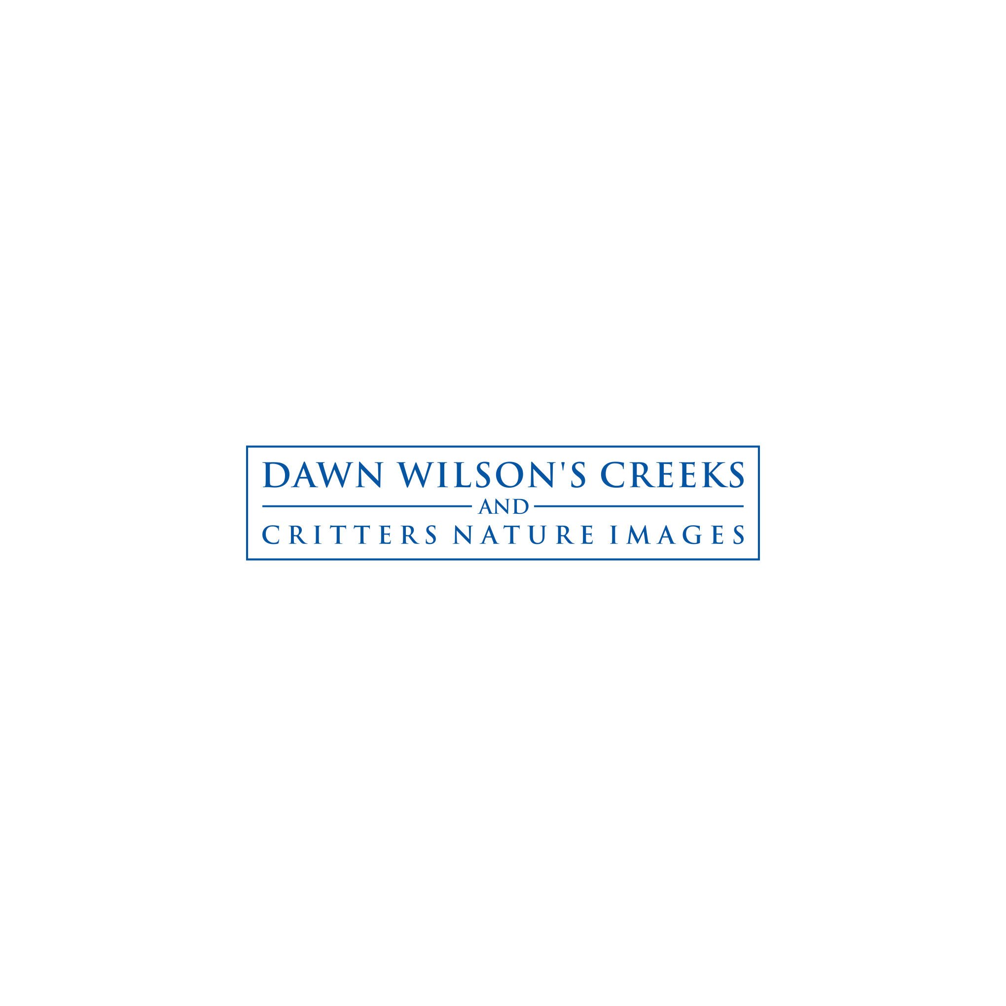 Logo Design by AZart for Dawn Wilson Photography | Design #25190714
