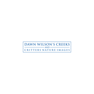 Logo-Design von AZart für Dawn Wilson Photography | Design: #25190714