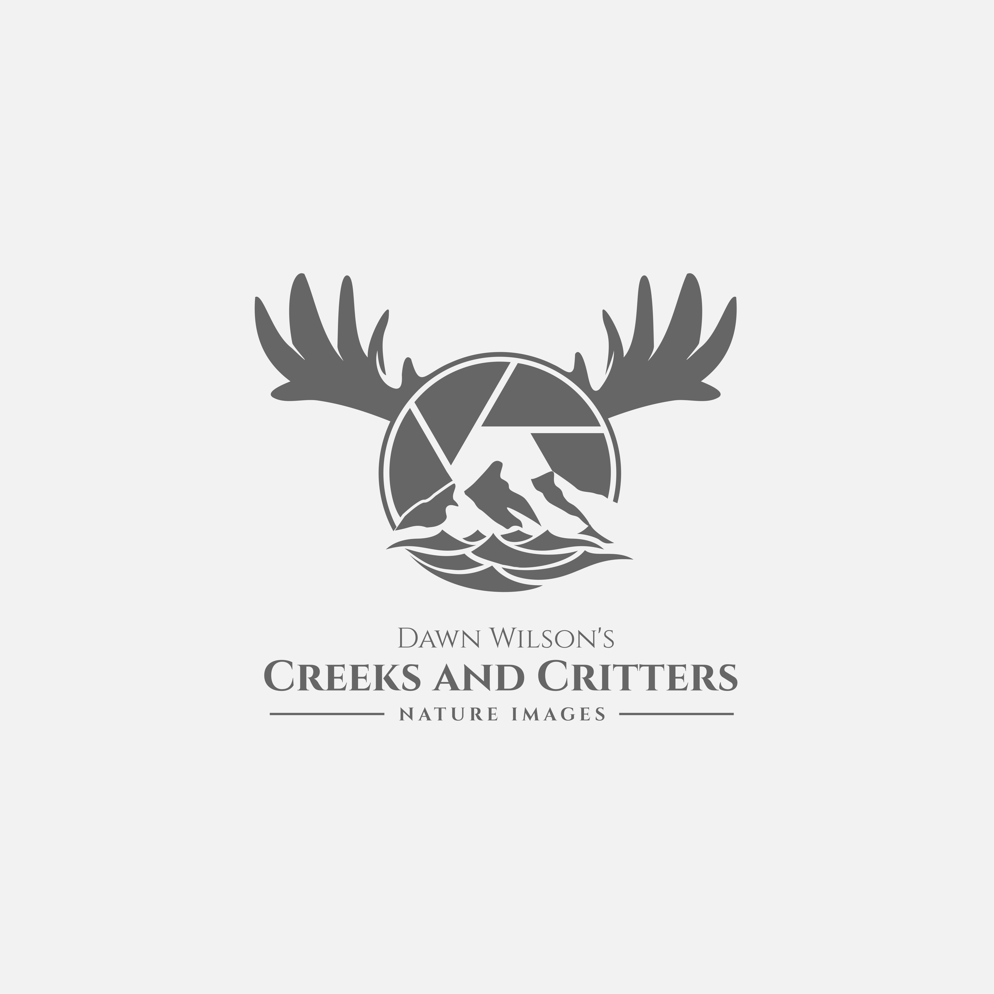 Logo Design by ybmdesign for Dawn Wilson Photography | Design #25202632