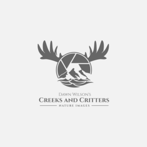 Logo-Design von ybmdesign für Dawn Wilson Photography | Design #25202632