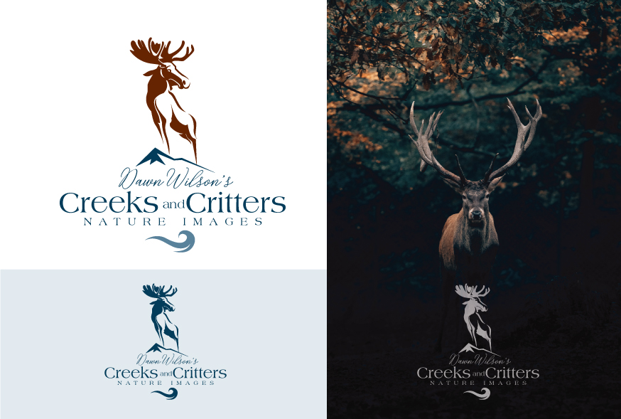 Logo Design by ally designs for Dawn Wilson Photography | Design #25200864
