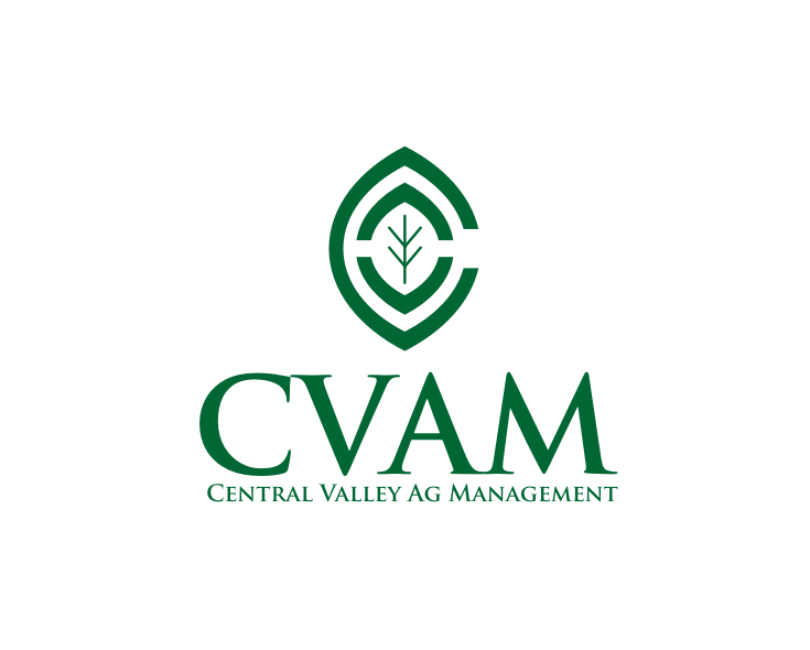 Logo Design by twk for this project | Design #25198662