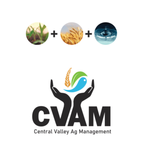 Logo Design by avi's for this project | Design: #25231768