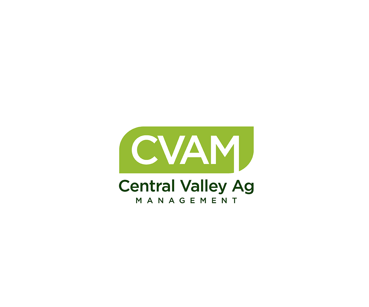 Logo Design by saulogchito for this project | Design #25203444