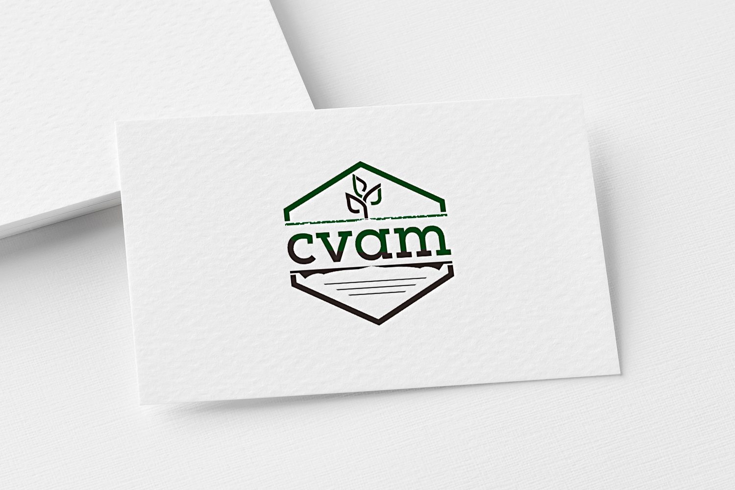 Logo Design by solidinto for this project | Design #25248074