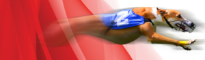 Banner Ad Design by ag622988 for this project | Design: #25204585