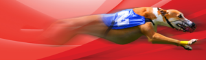 Banner Ad Design by ag622988 for this project | Design: #25204601