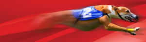 Banner Ad Design by ag622988 for this project | Design: #25204612