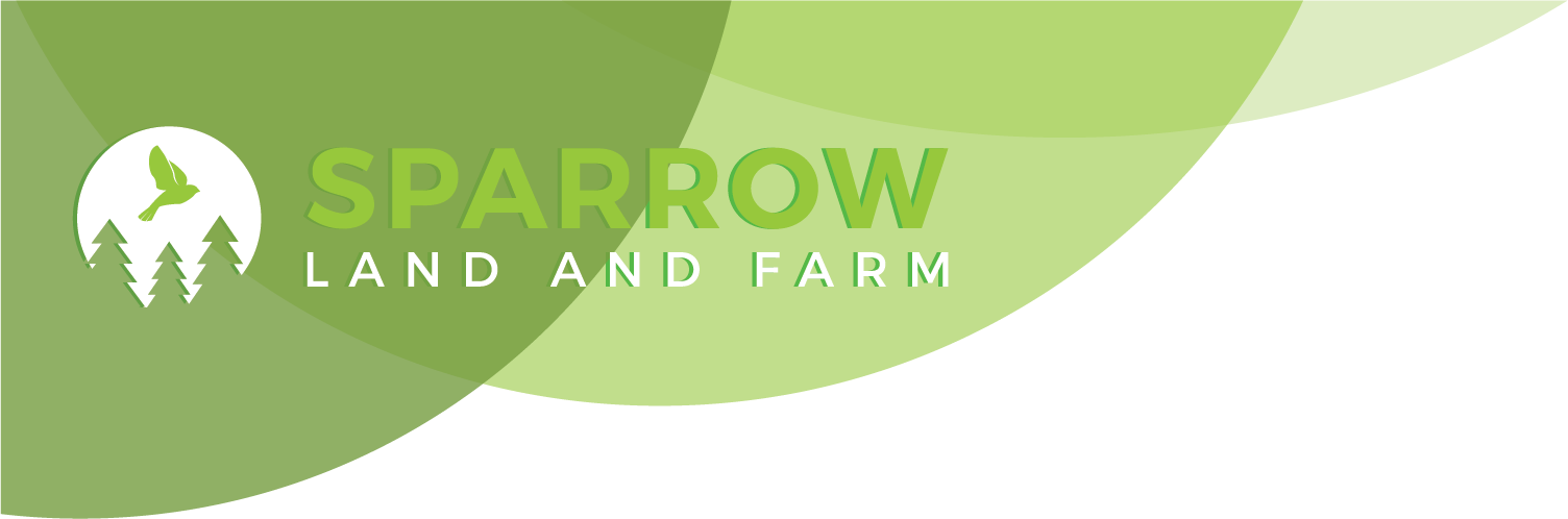 Design En-Tête par sandyblaza pour ce projet | Design #25210035