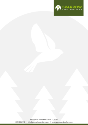 Letterhead Design by Kavina Shah