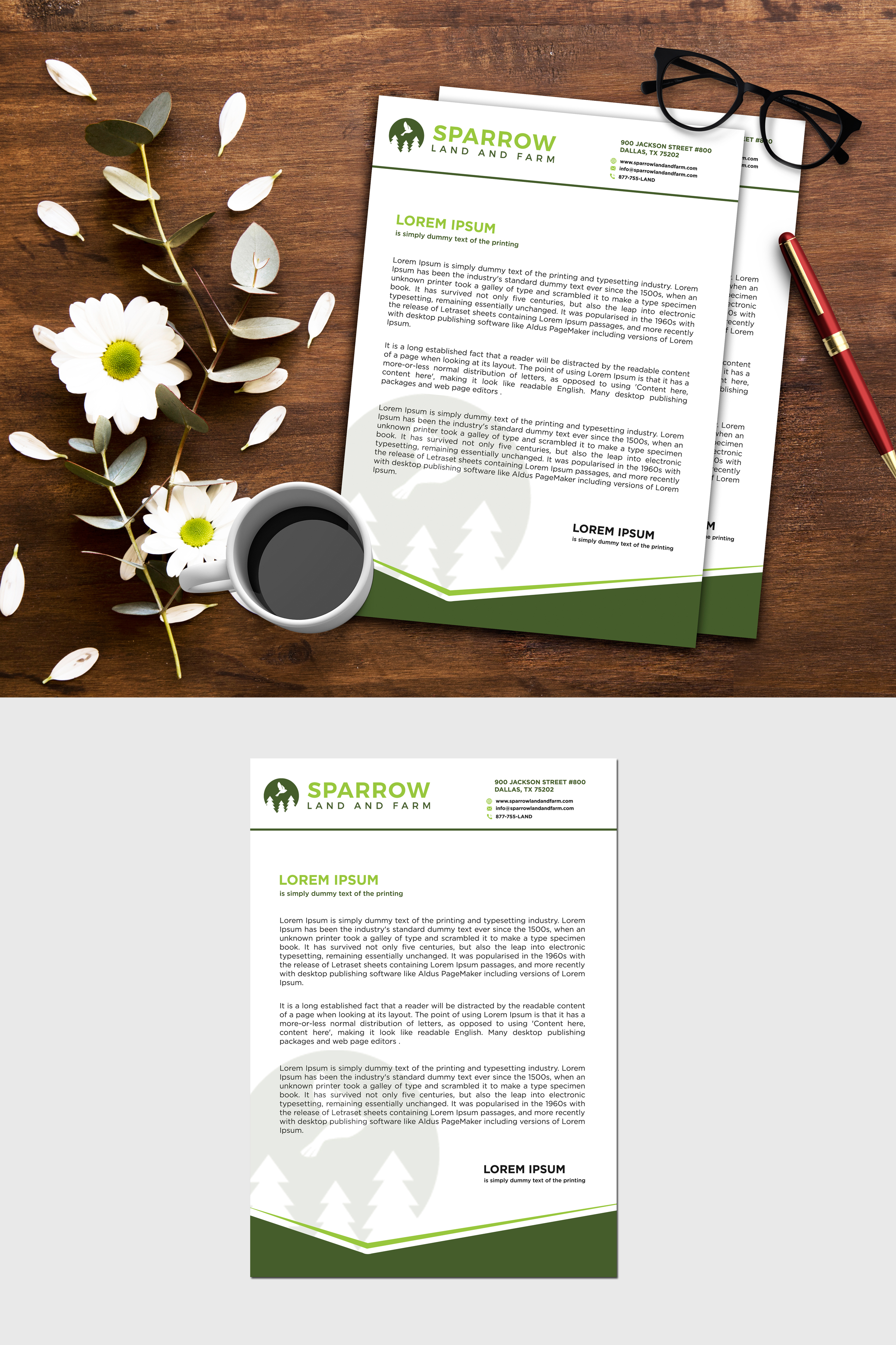 Letterhead Design by M 8 for this project | Design #25222904