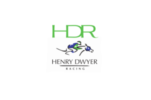 Diseño de Logo por ivo_i_ivanov para este proyecto | Diseño: #25222627