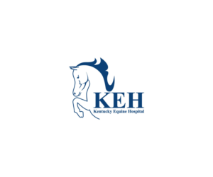 Design de Logo par Synthi pour ce projet | Design : #25231157