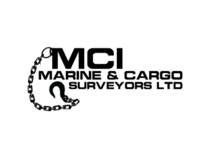 Logo Design by the majestic design