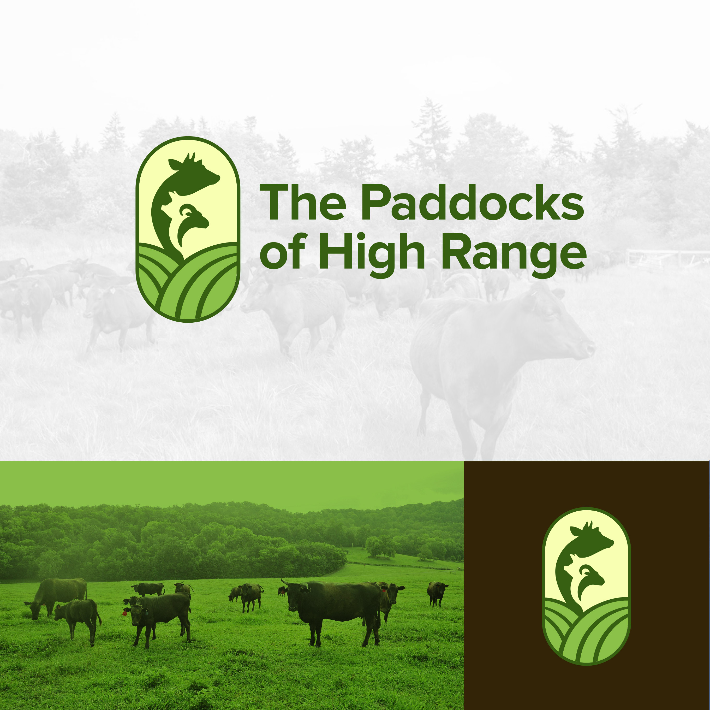 Logo Design by Shu Yang for Kalla Warra Enterprises | Design #25303353