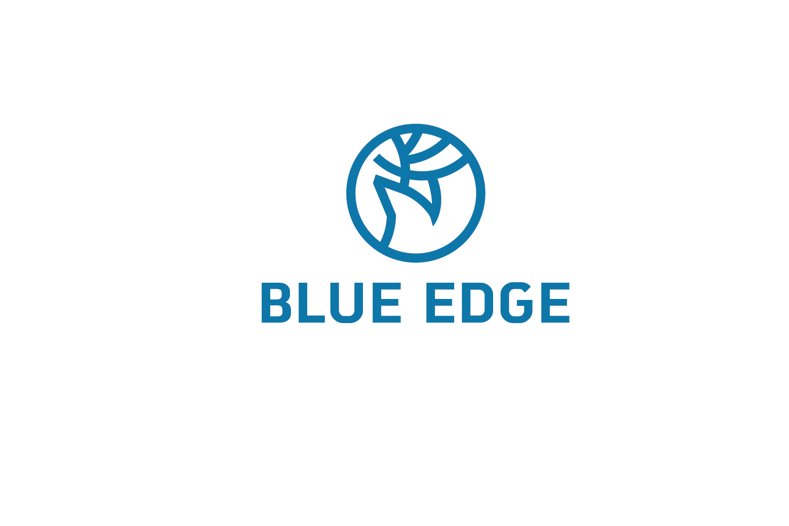 Logo Design by ivo_i_ivanov for Blue Edge | Design #25231819