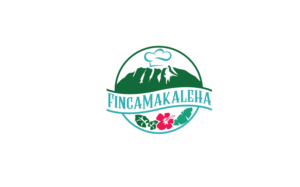 Logo Design by MT