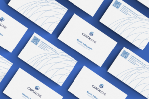 Business Card Design by Tram Dang for CAPITAL ONE PARTNERS SP. Z O.O. SP.K. | Design: #25274493