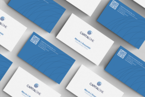 Business Card Design by Tram Dang for CAPITAL ONE PARTNERS SP. Z O.O. SP.K. | Design: #25274538