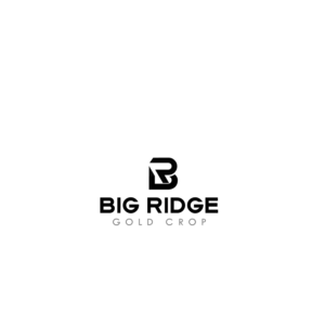 Logo Design by S.N.Y™-01