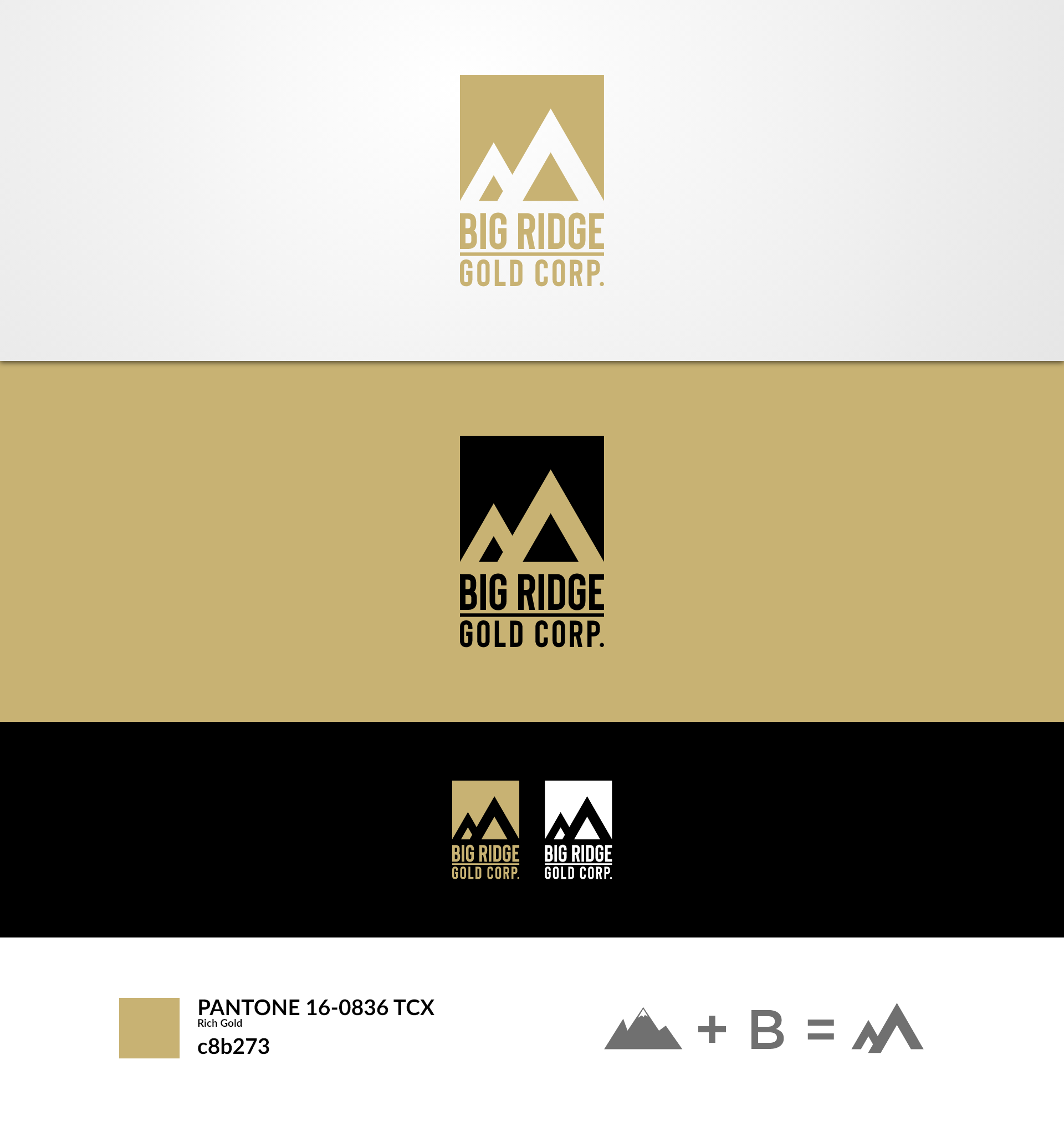 Logo Design by SameSam94 for this project | Design #25286083