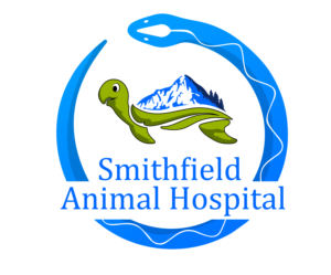 Logo Design by Softwareondemand for this project | Design: #25255490