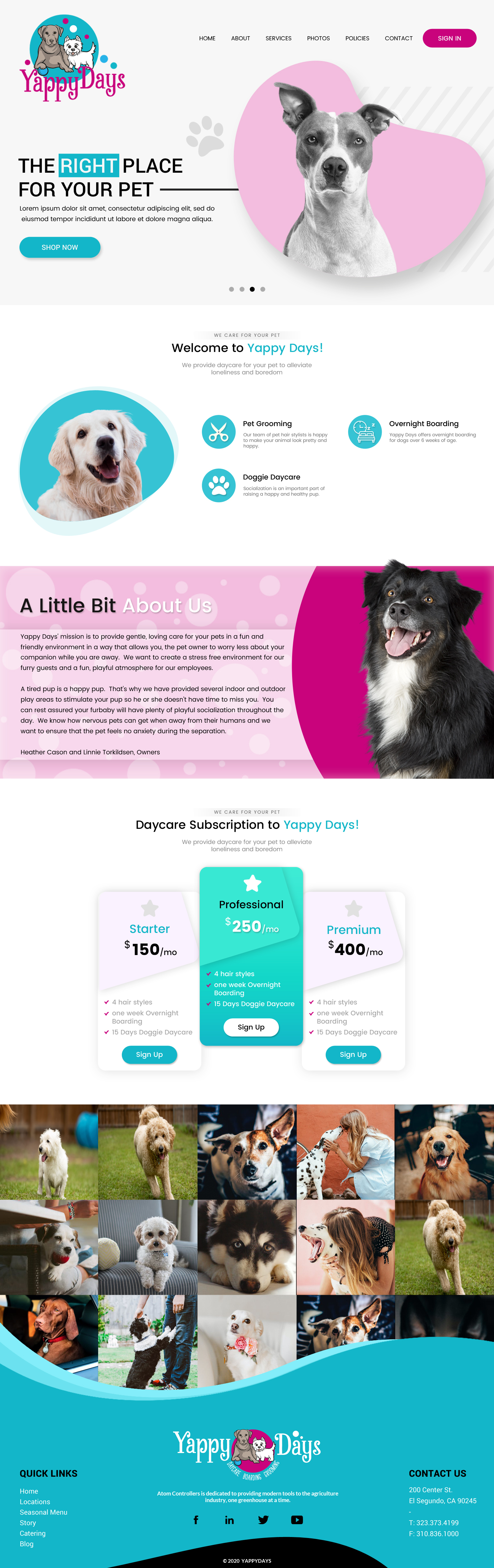 Web Design by Deli for this project | Design #25292270