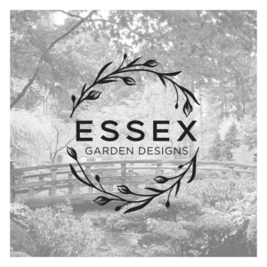 Logo Design by MPStudio