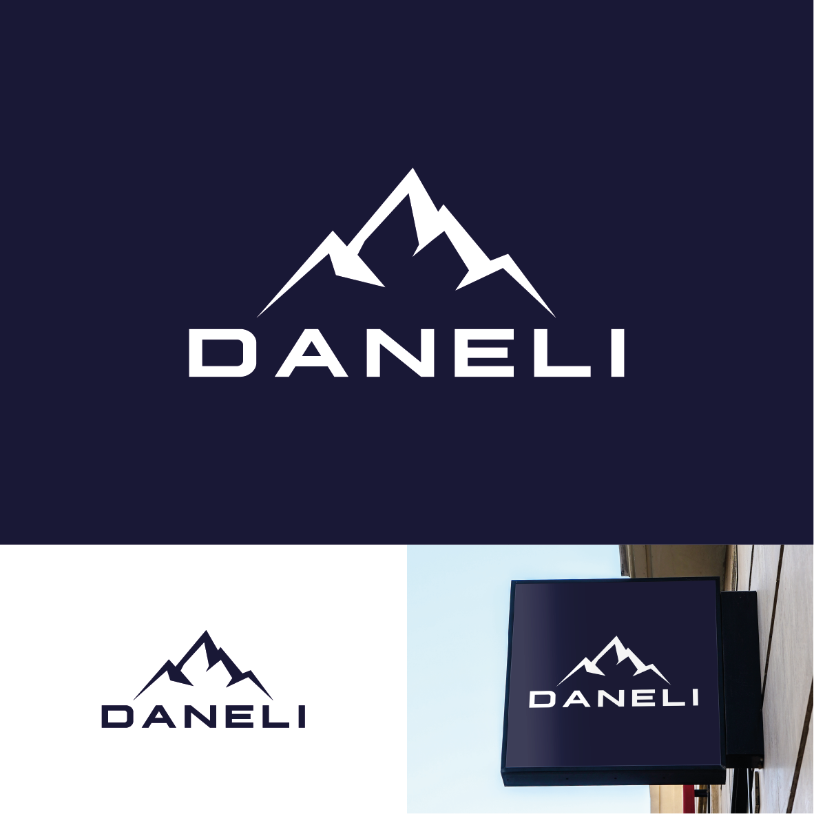 Logo Design by Chau Lun So for Daneli Corp | Design #25281325