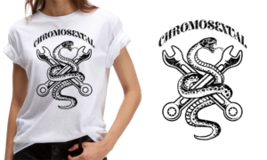 Diseño de Camiseta por D'Mono para este proyecto | Diseño: #25311142